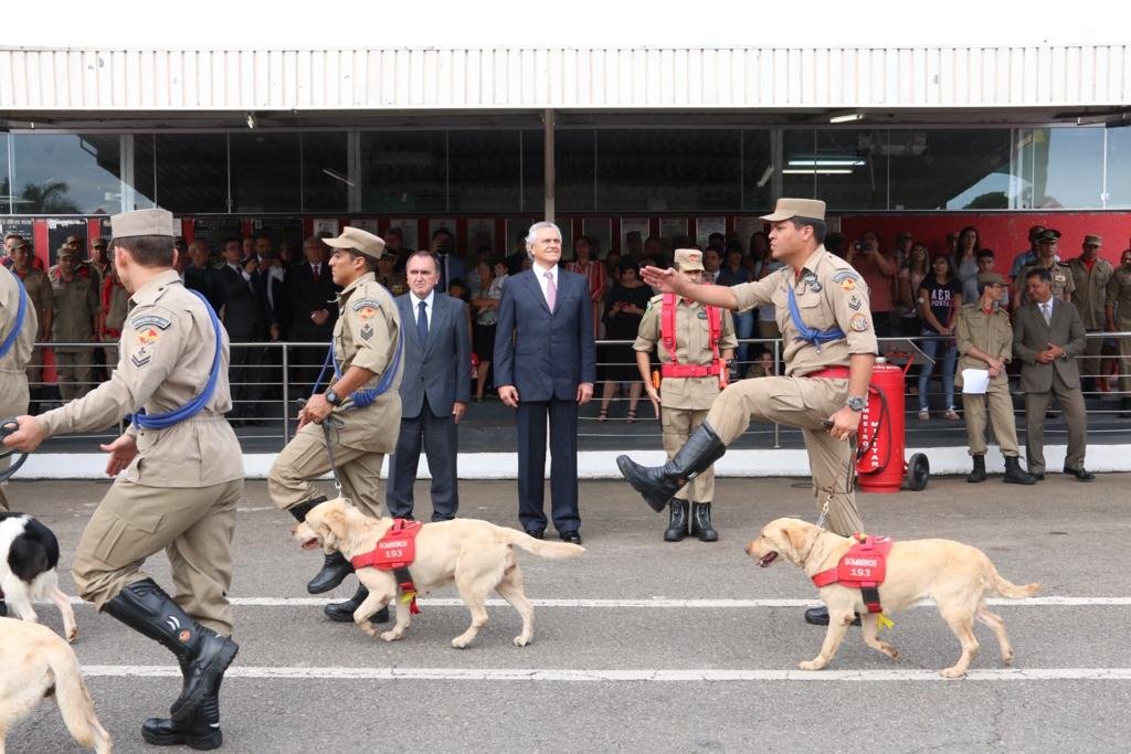 Equipe de bombeiros goianos que trabalhou em Brumadinho-MG é recebido por governador