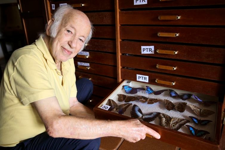 Colecionador brasiliense doa 2 mil insetos ao Museu Nacional do Rio