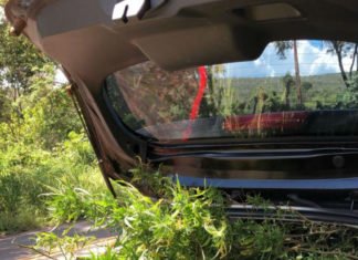 Operação apreende pés de maconha na Chapada dos Veadeiros, em Alto Paraíso de Goiás