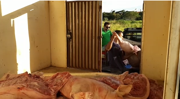 Cerca de 700 kg de carne de porco é apreendida pela PRF, na BR-153, em Anápolis