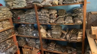 Apreendidas quase 5 toneladas de mercadorias falsificadas em Jaraguá