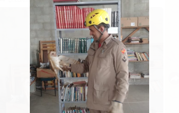 Bombeiros resgatam coruja em uma biblioteca de Itaberaí