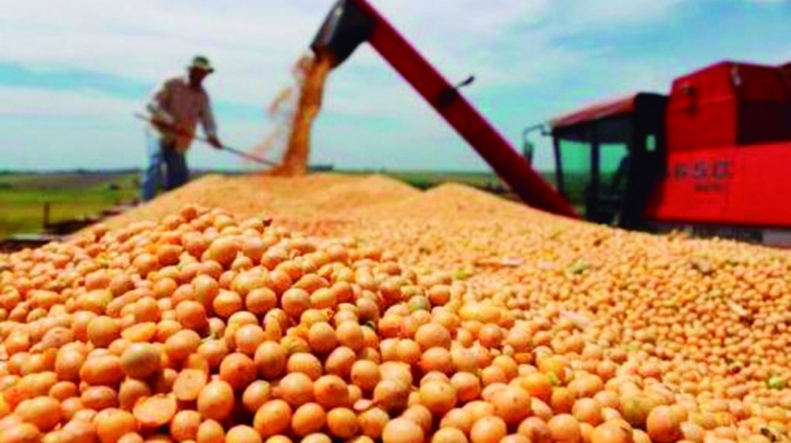 Setor agropecuário lidera criação de novos empregos em Goiás
