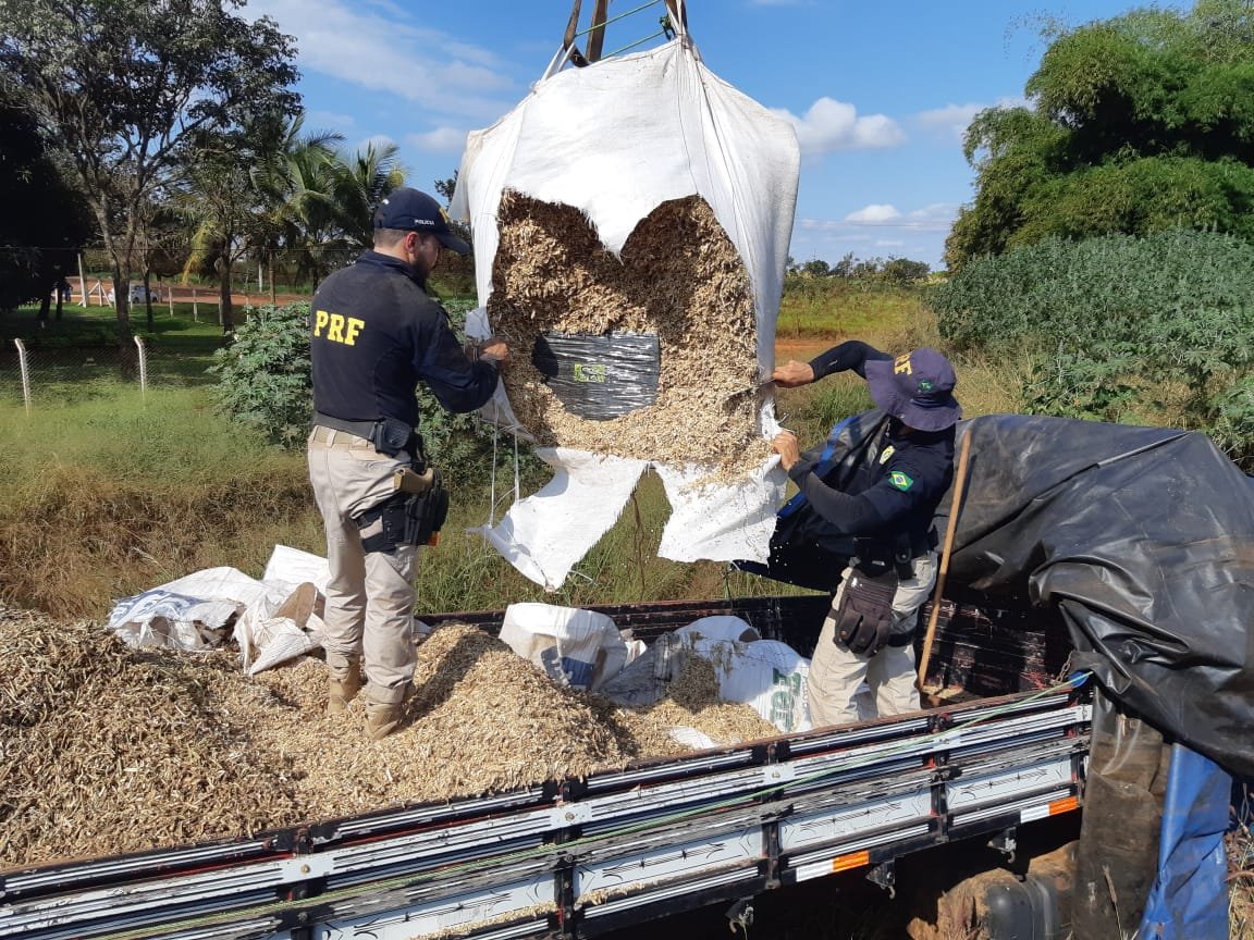Casal é preso transportando cerca de uma tonelada de drogas, em Jataí