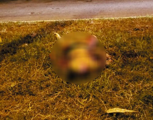 Homem é preso suspeito de matar a esposa, em Aparecida de Goiânia