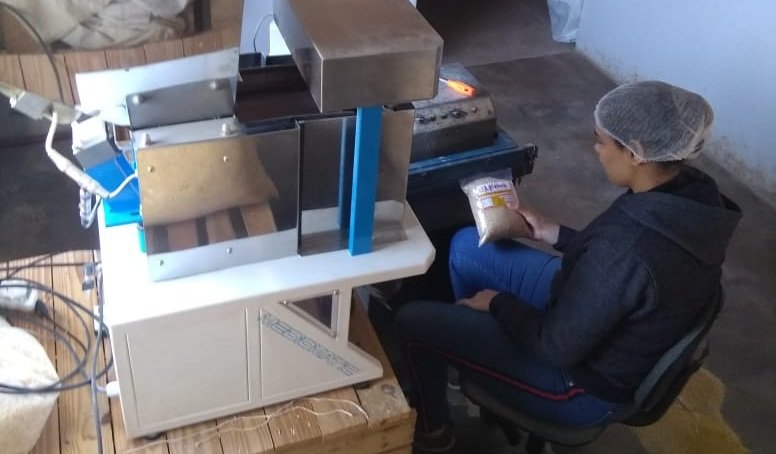 Empreendedorismo familiar impulsiona produção de farinha de mandioca, em Orizona-GO