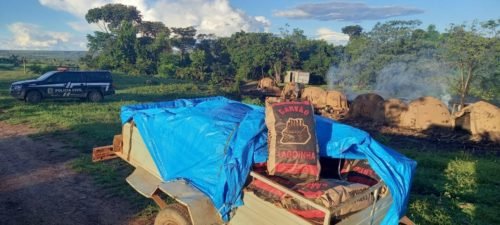 Operação fiscaliza loteamentos irregulares no Lago Corumbá IV e flagram carvoaria ilegal, em GO