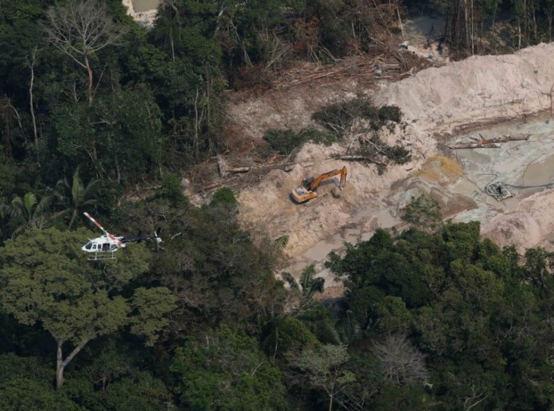 Salles: governo dobra recursos para combater desmatamento na Amazônia