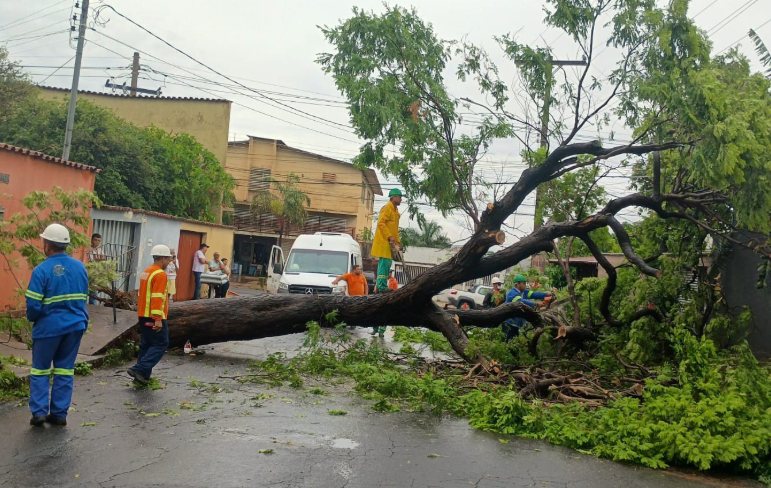 Goiânia inicia ações preventivas com início de período chuvoso