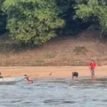 Crianças indígenas são levadas pela correnteza enquanto nadavam no Rio Araguaia