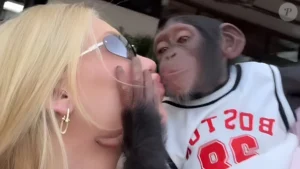Virginia nega racismo contra Vini Jr. após postar vídeo beijando macaco
