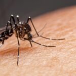 Menino de 7 anos morre de dengue em Anápolis