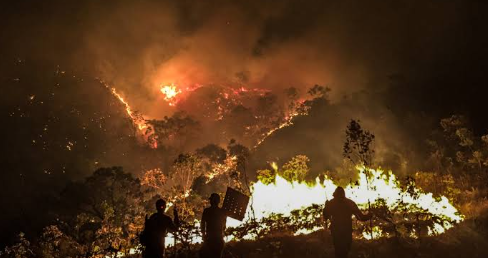 Incêndios atingem diferentes pontos da Chapada dos Veadeiros, em Goiás